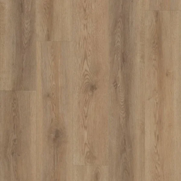 Shaw Floorte Pantheon HD Plus