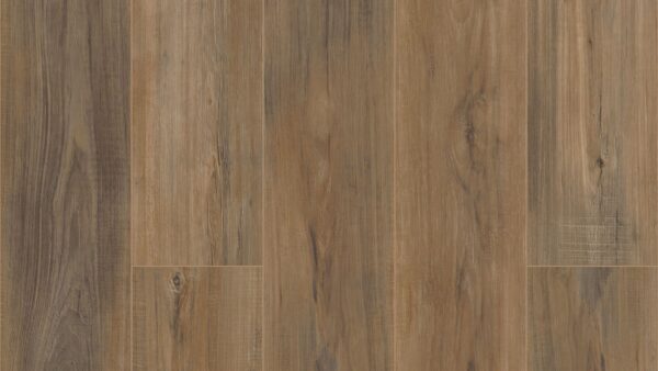 COREtec Pro Plus Enhanced 7"  Edinburgh Oak