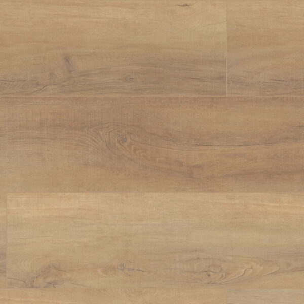 COREtec Pro Plus HD 9" Canterbury Elm