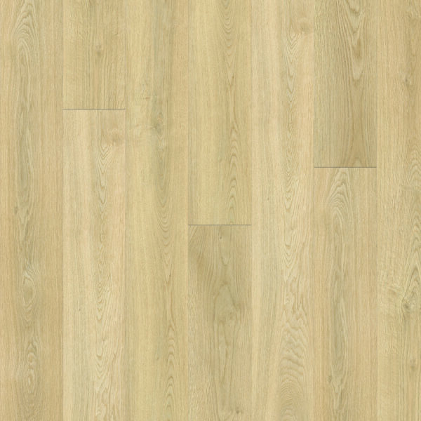 Dreamweaver Triumph Timeless Beauty Thorndale 7"