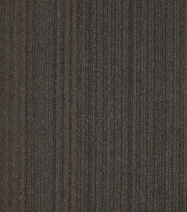 Shaw Philadelphia Mainstreet Lucky Break Luck Of the Draw Carpet Tile