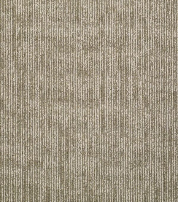Shaw Philadelphia Mainstreet Carbon Copy Mirror Image Carpet Tile