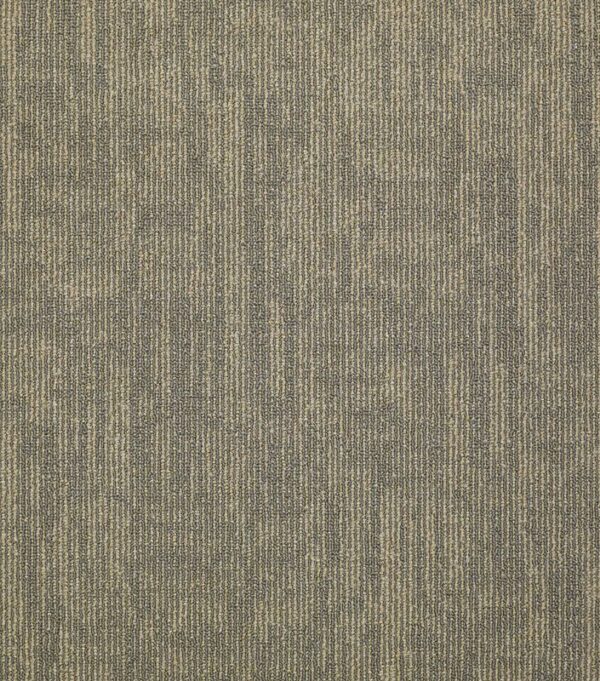 Shaw Philadelphia Mainstreet Carbon Copy Transfer Carpet Tile