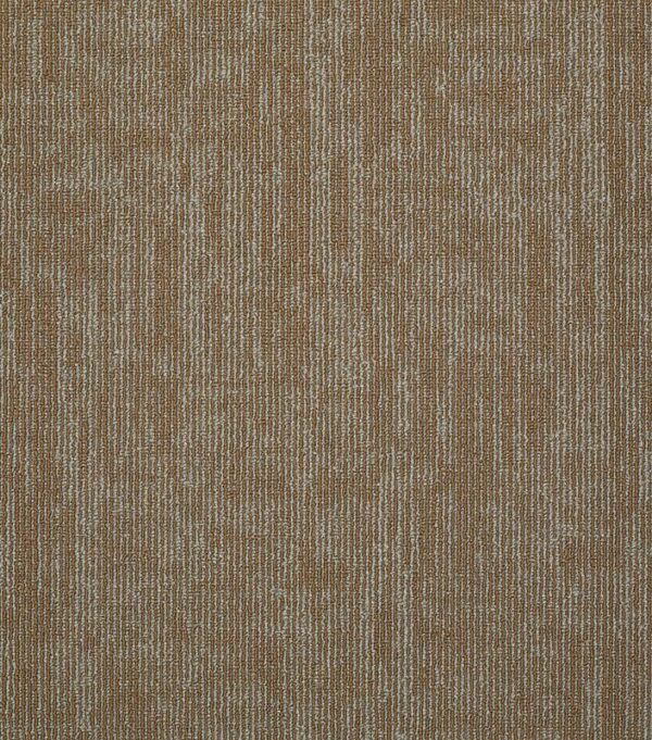 Shaw Philadelphia Mainstreet Carbon Copy Duplicate Carpet Tile