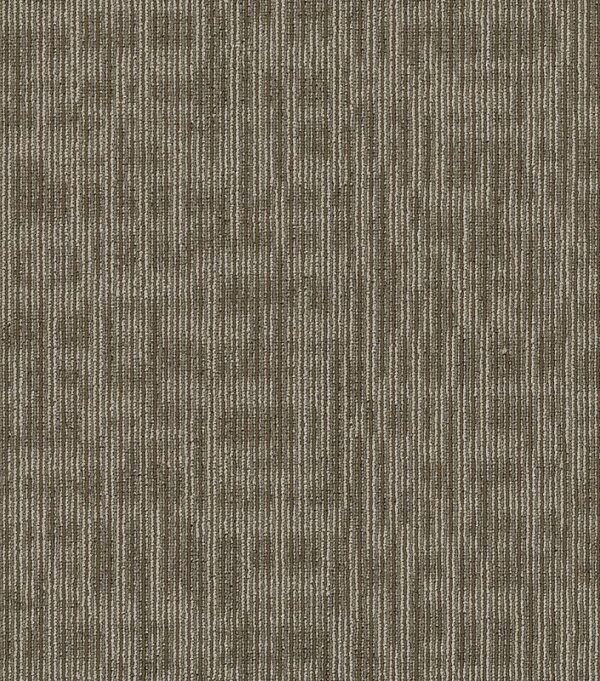 Shaw Philadelphia Mainstreet Genius Scholarly Carpet Tile