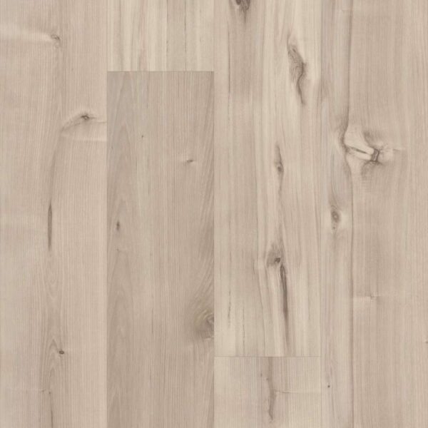 Shaw Glue-Down LVP Symbiotic 30 Canvas 6"