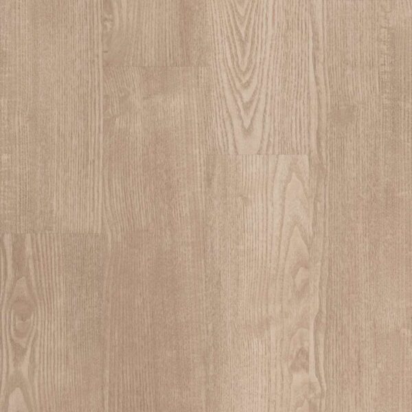 Shaw Glue-Down LVP Symbiotic 5.0 Sandstone 6"
