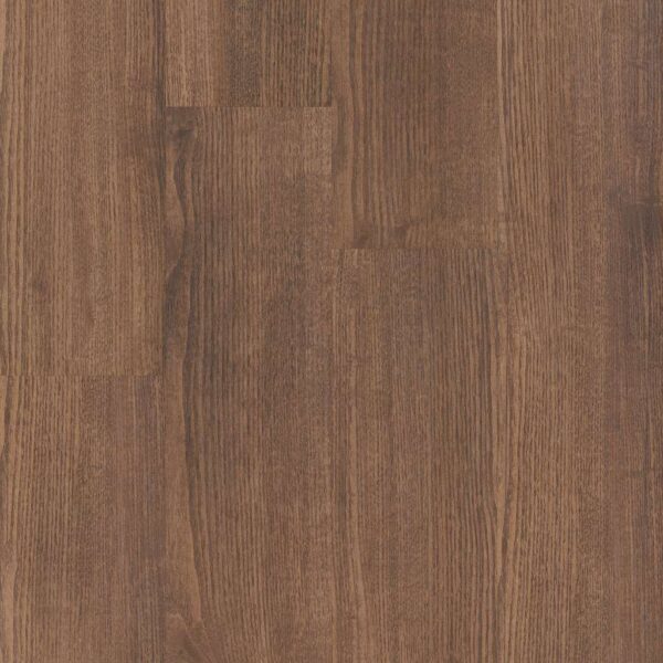 Shaw Glue-Down LVP Symbiotic 5.0 Cloves 6"