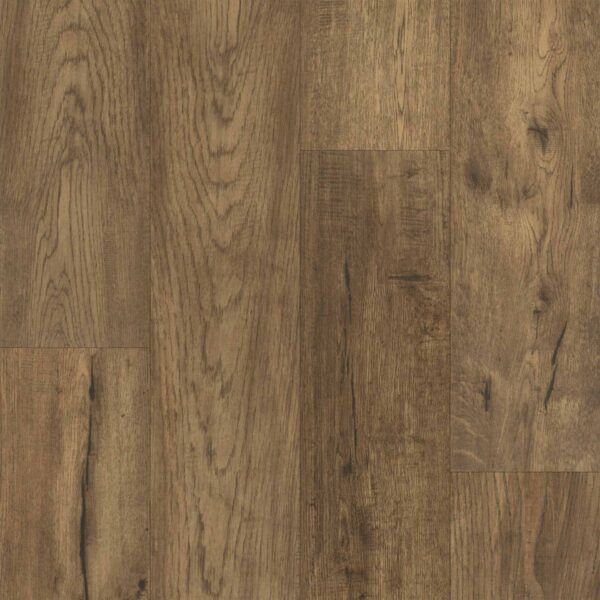 Happy Feet All Star Cocoa 7.36" HF274
