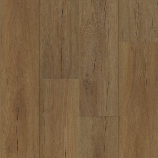 Happy Feet Perseverence E Tawny 9" HF924e
