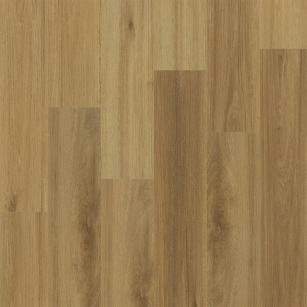Dreamweaver Timberstep PUREGrain Renew Empower Trinity 7"