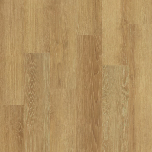 Dreamweaver Timberstep PUREGrain Renew Empower Marlowe 7"
