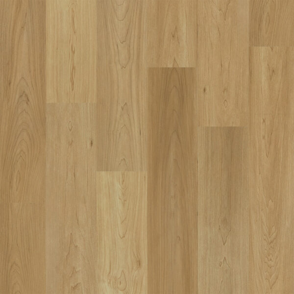 Dreamweaver Timberstep PUREGrain Renew Empower Charlotte 7"