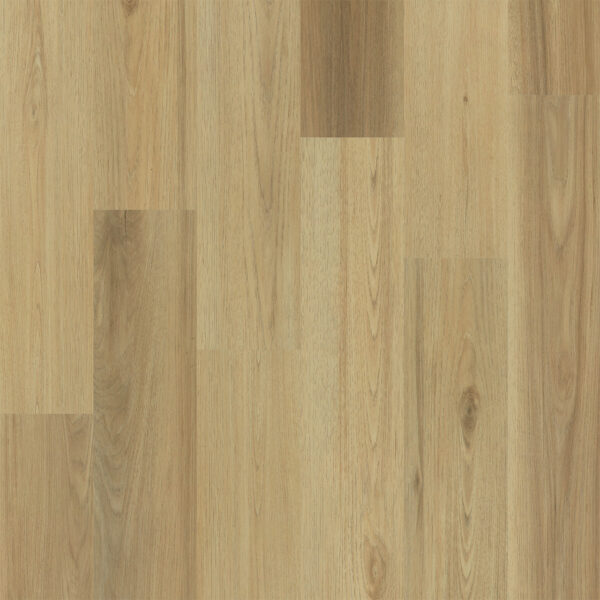 Dreamweaver Timberstep PUREGrain Renew Empower Frederick 7"