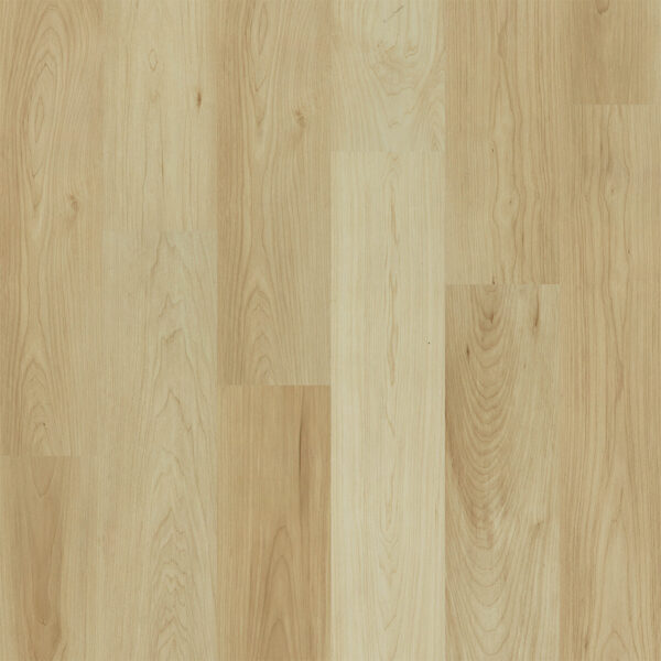Dreamweaver Timberstep PUREGrain Renew Empower Griffin 7"