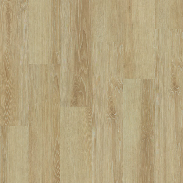 Dreamweaver Timberstep PUREGrain Renew Empower Lincoln 7"
