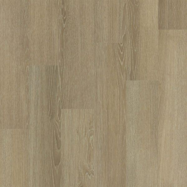 Dreamweaver Timberstep PUREGrain Renew Empower Zion 7"