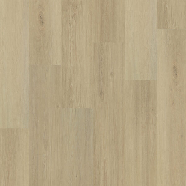 Dreamweaver Timberstep PUREGrain Renew Restore Sydney 9"