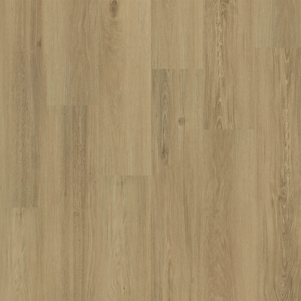 Dreamweaver Timberstep PUREGrain Renew Restore Sofia 9"
