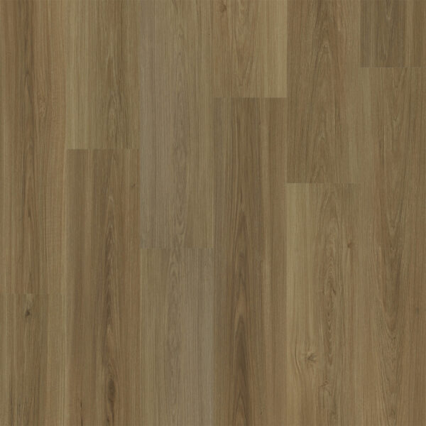 Dreamweaver Timberstep PUREGrain Renew Restore Kingston 9"