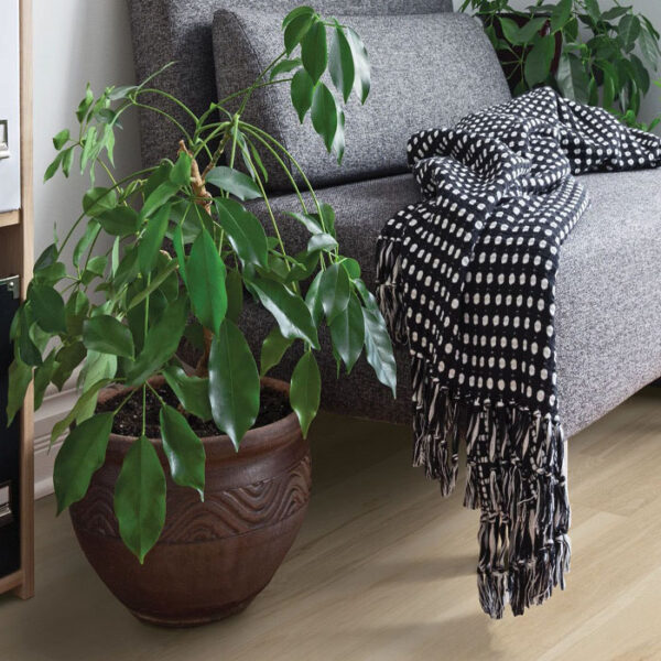 COREtec CT HD 7" x 48" Integrated Bevel Blended Cocoon